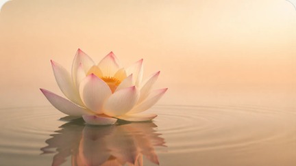 Abstract lotus visual for Vision Craft